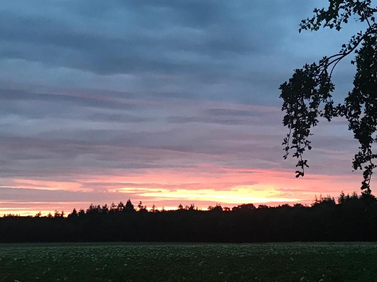 Het Uilennest Bed & Breakfast Exloo Eksteriør bilde