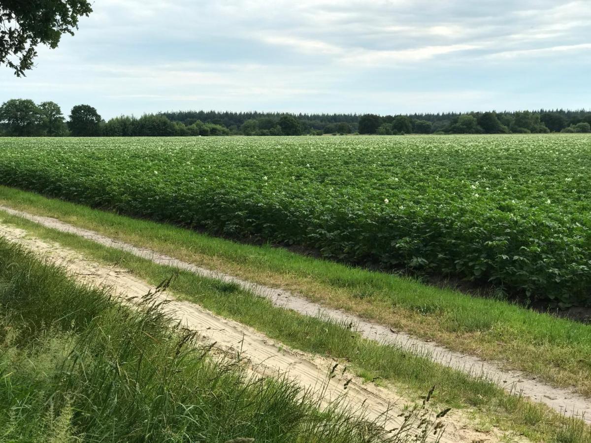 Het Uilennest Bed & Breakfast Exloo Eksteriør bilde