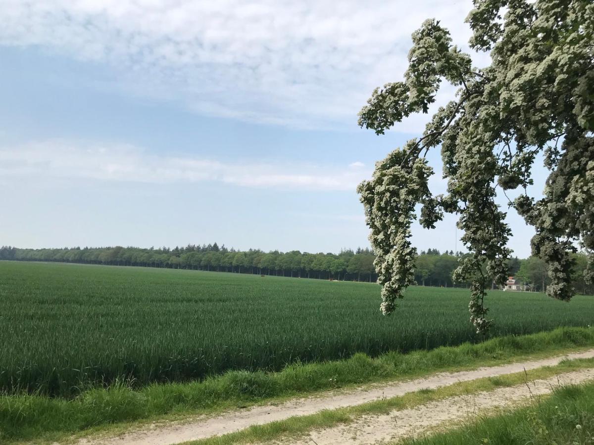 Het Uilennest Bed & Breakfast Exloo Eksteriør bilde