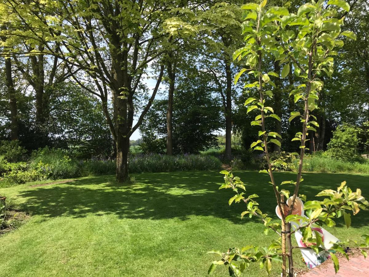 Het Uilennest Bed & Breakfast Exloo Eksteriør bilde